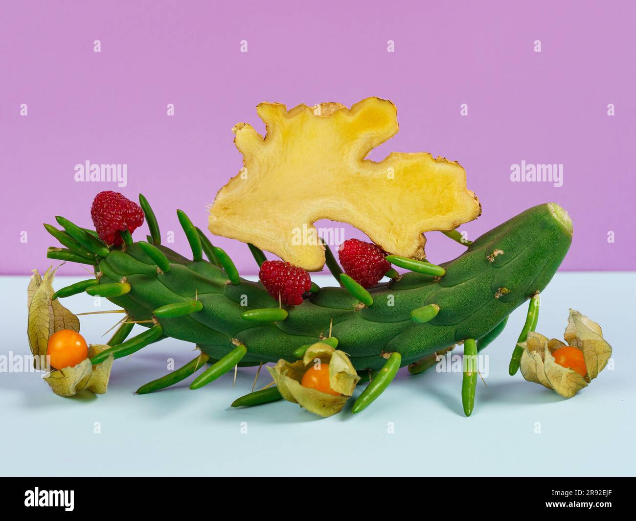 Berry still life with ginger on a cactus prickly pear subulata Stock Photo