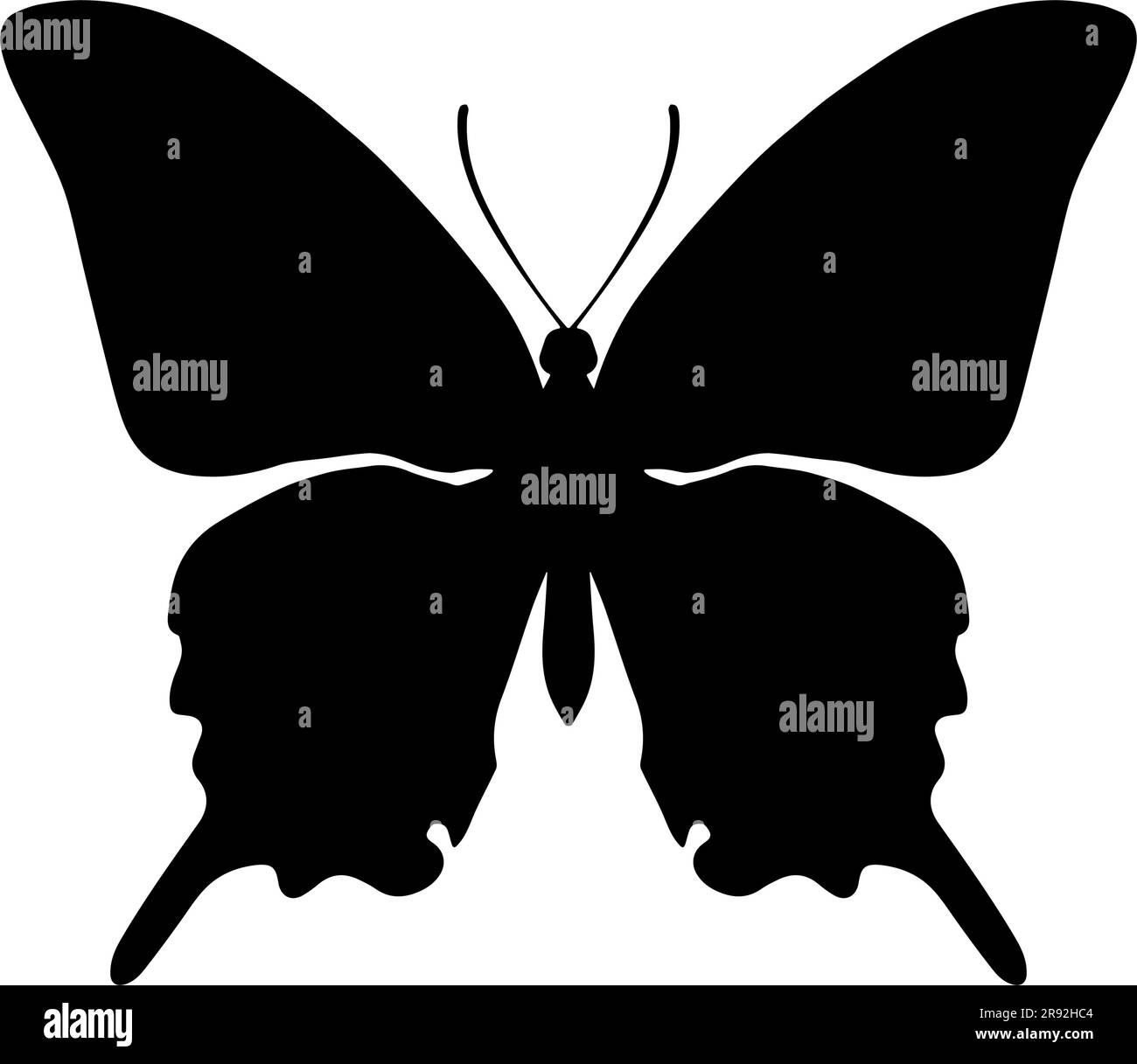 Butterfly Silhouette isolated on white background. Vector illustration ...