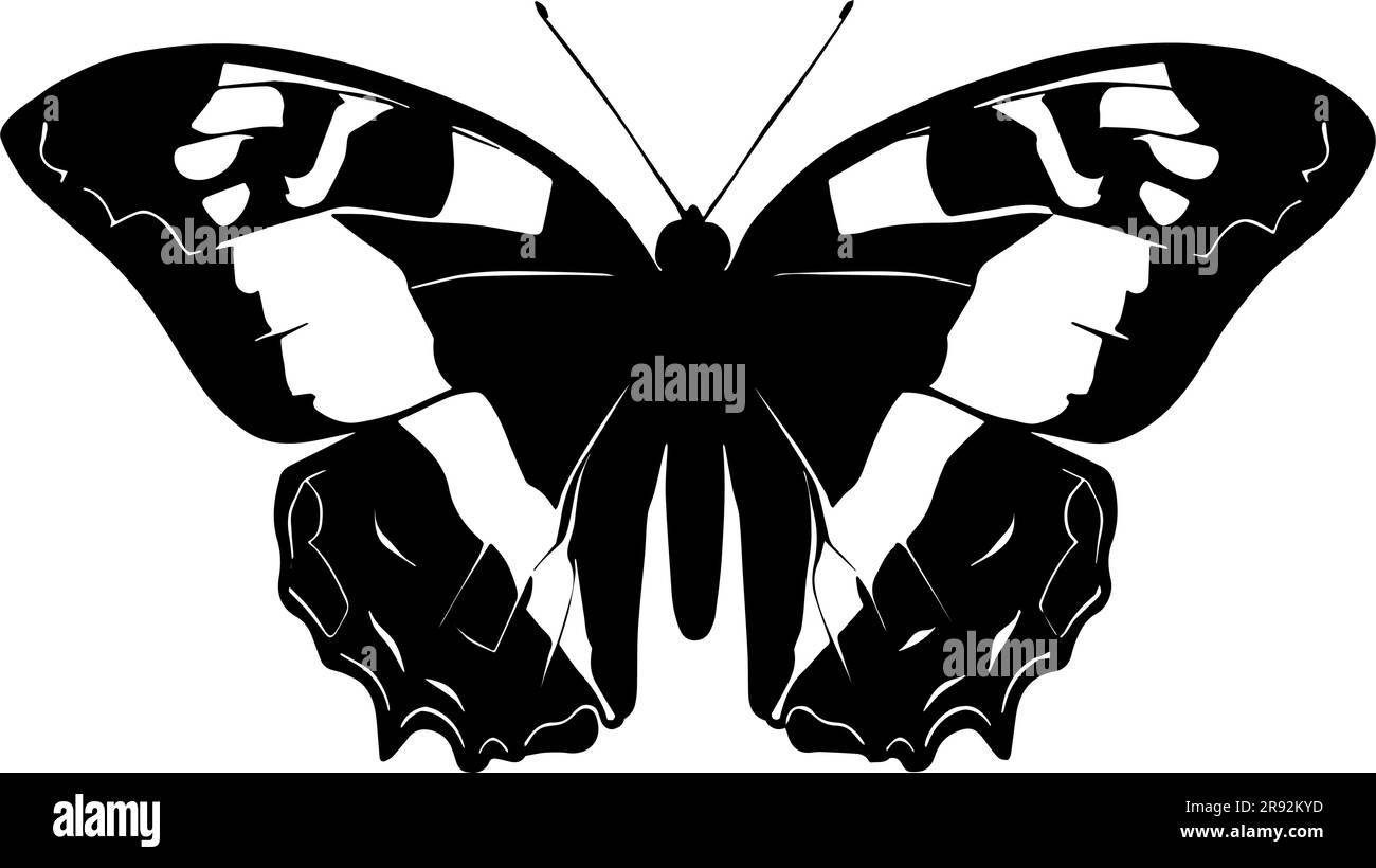 Butterfly Silhouette isolated on white background. Vector illustration ...