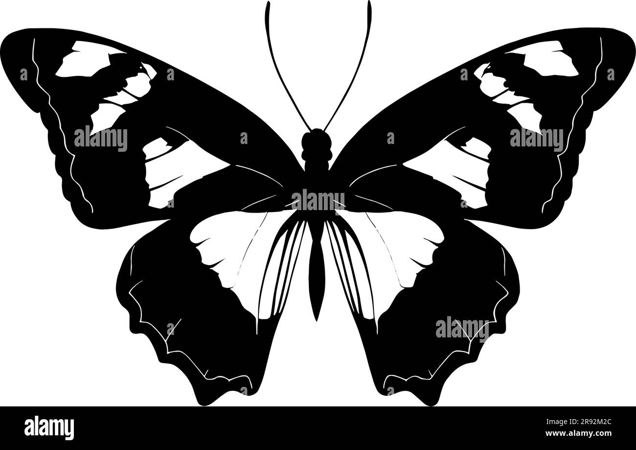 Butterfly Silhouette isolated on white background. Vector illustration ...