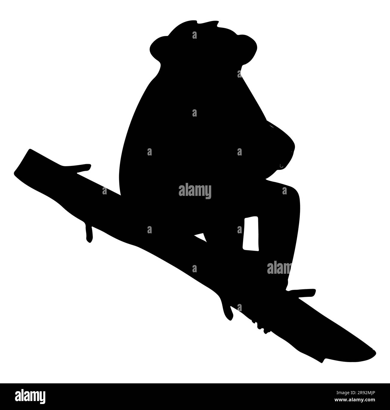 Black silhouette of a monkey sitting on a branch of a tree, an ape on a