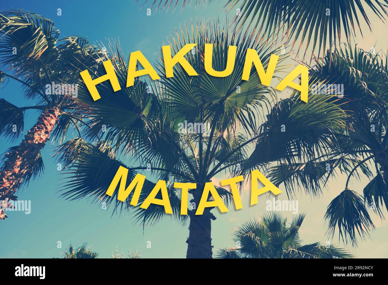 Hakuna Matata, inspirational phrase in Swahili meaning no worries. Palm trees outdoors on sunny summer day, stylized color toning Stock Photo