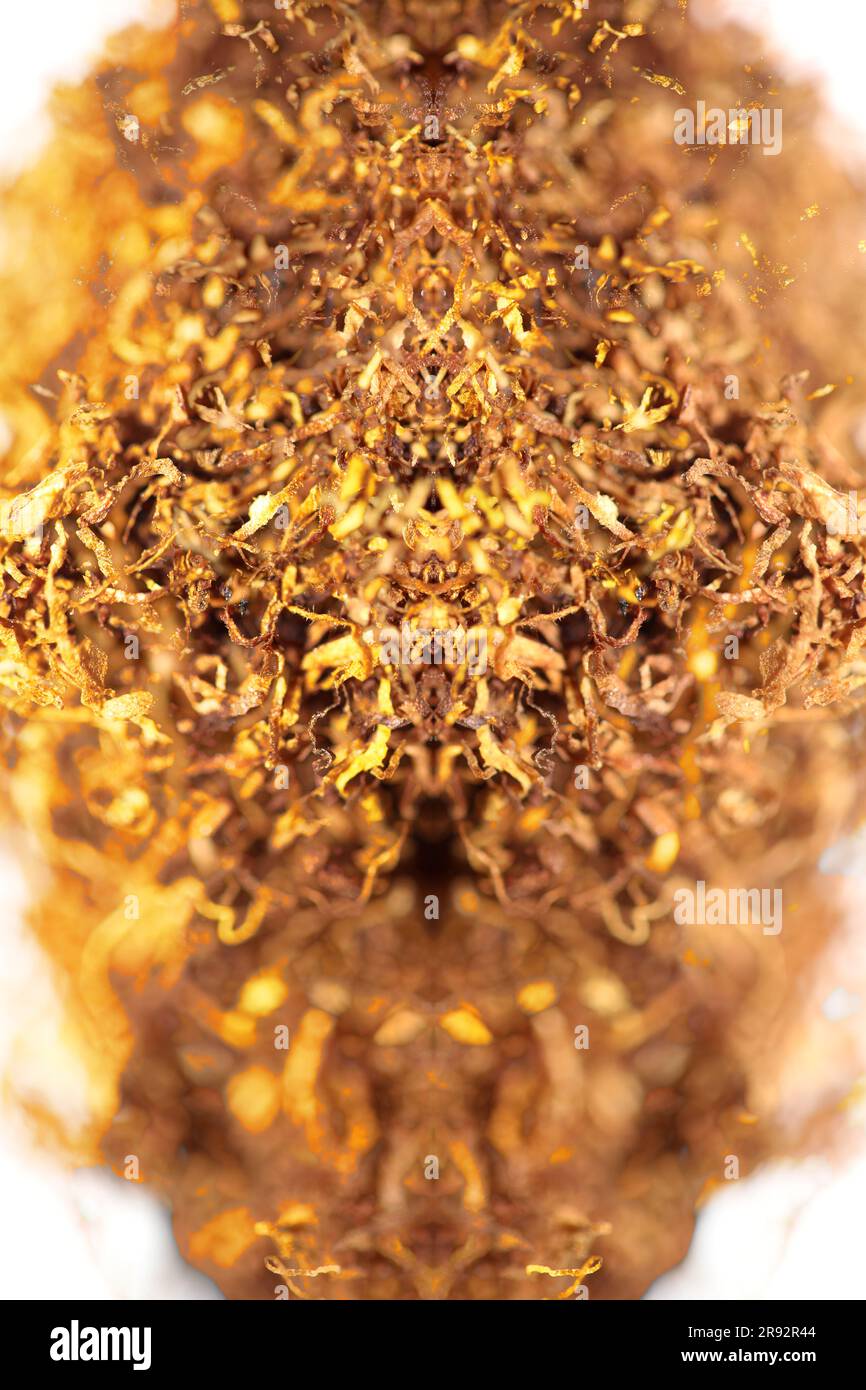 Double layer of brown rolling tobacco leaves lucky strike macro ...