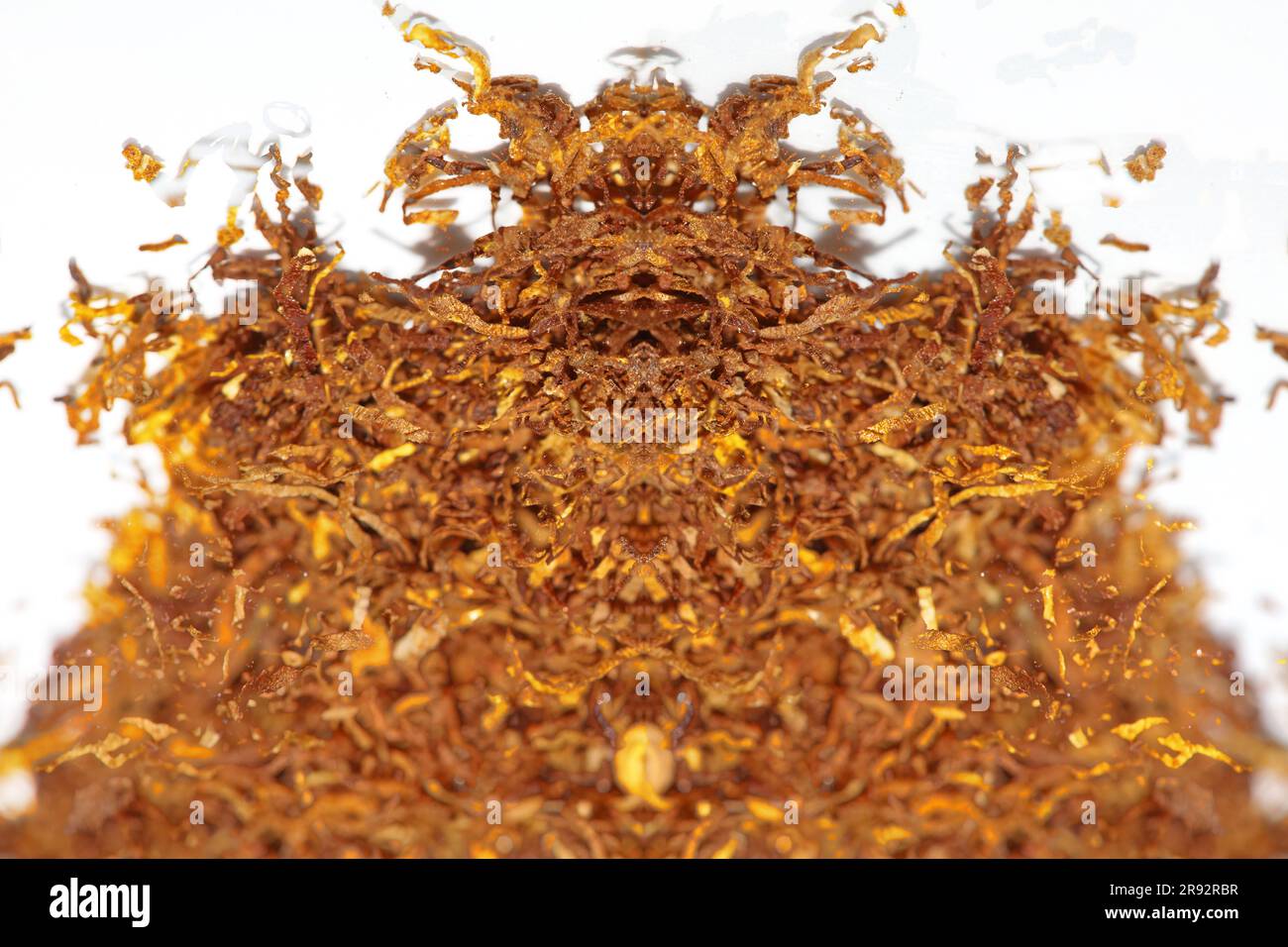 Double layer of brown rolling tobacco leaves lucky strike macro