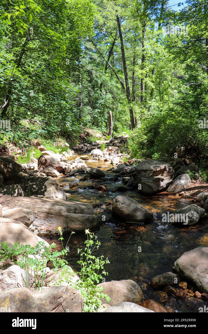 View of Christaphor Creek from the See Spring Trail near Payson ...