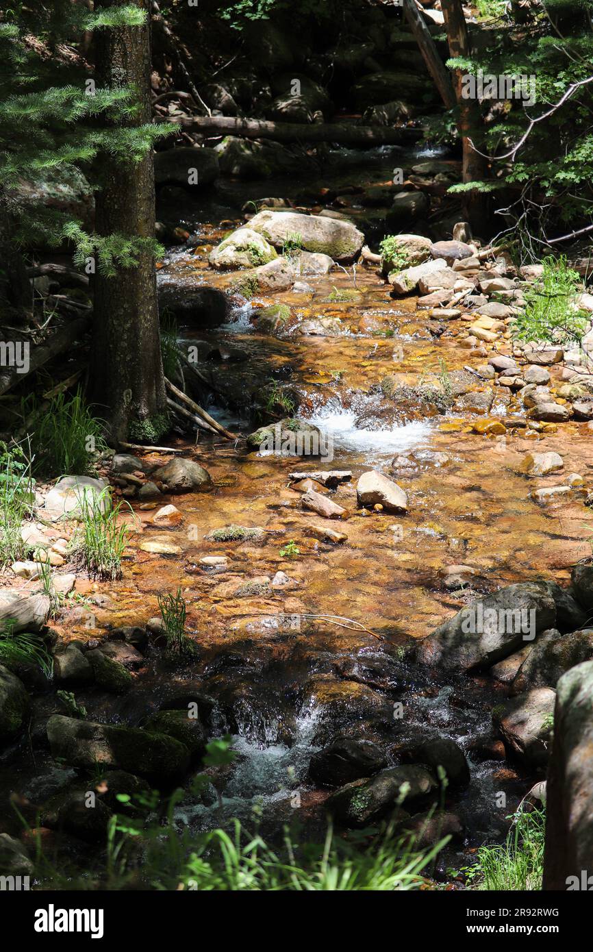 See spring trail hi-res stock photography and images - Alamy