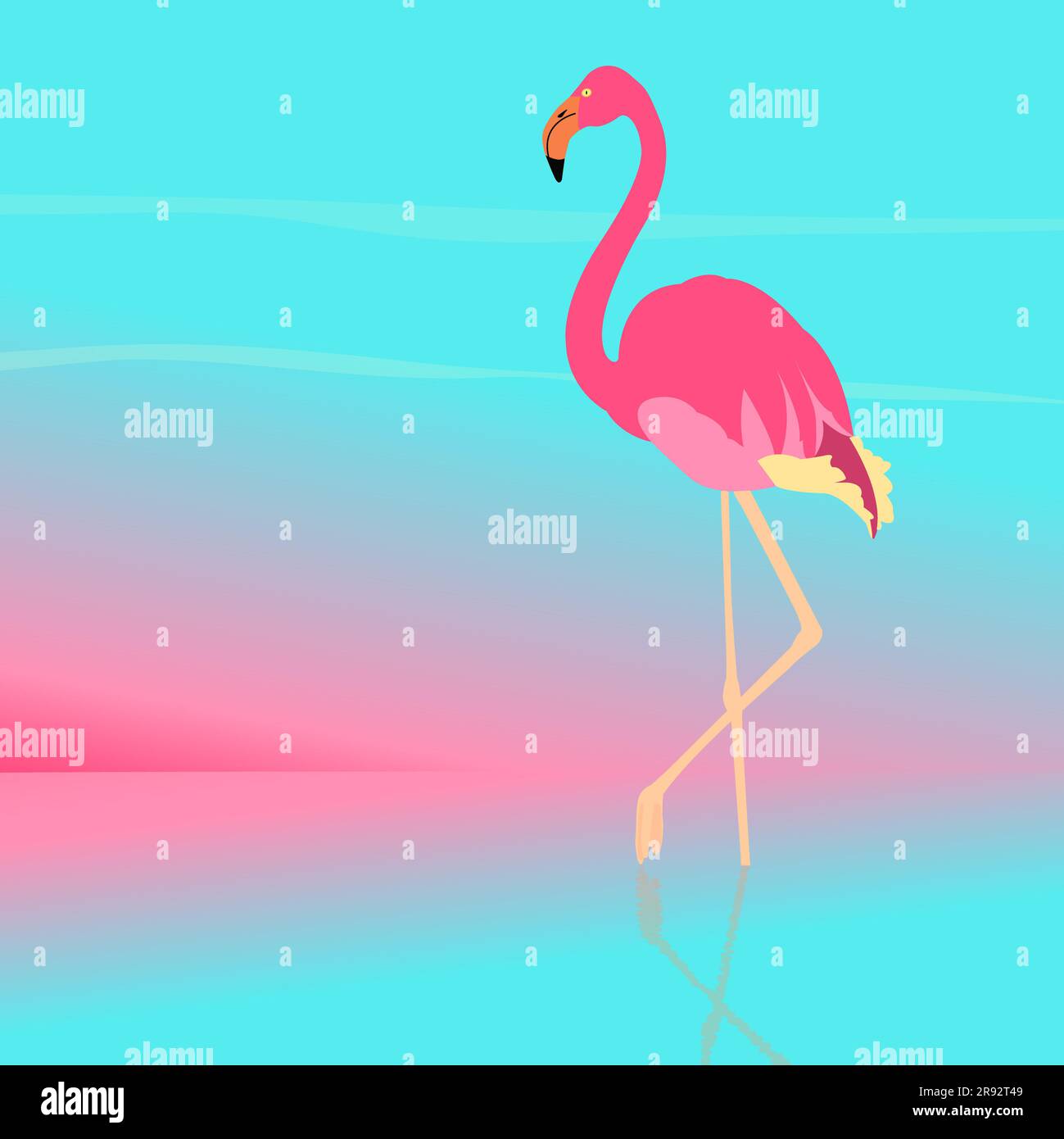 Flamingo, illustration Stock Photo