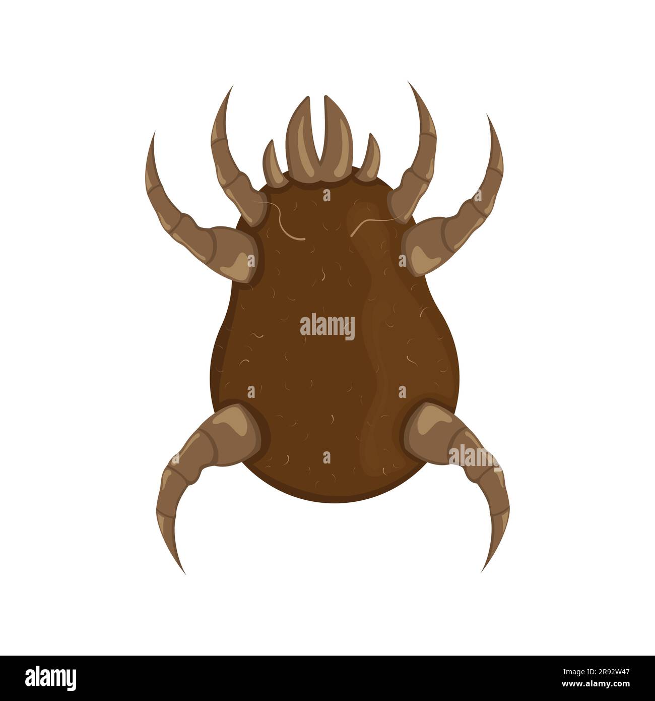 Brown dust mite vector illustration. Microscopic dangerous insect Stock