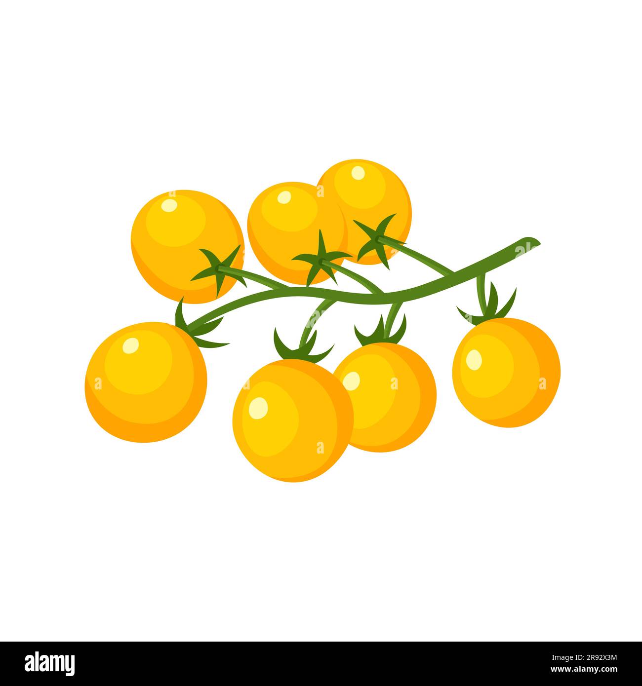 Yellow tomatoes cherry. Farm fresh tomato branch. Vector illustration