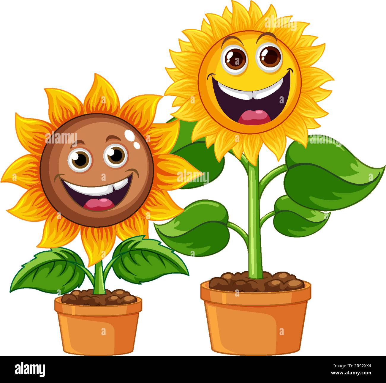 Sunflower plant in pot cartoon isolated illustration Stock Vector Image