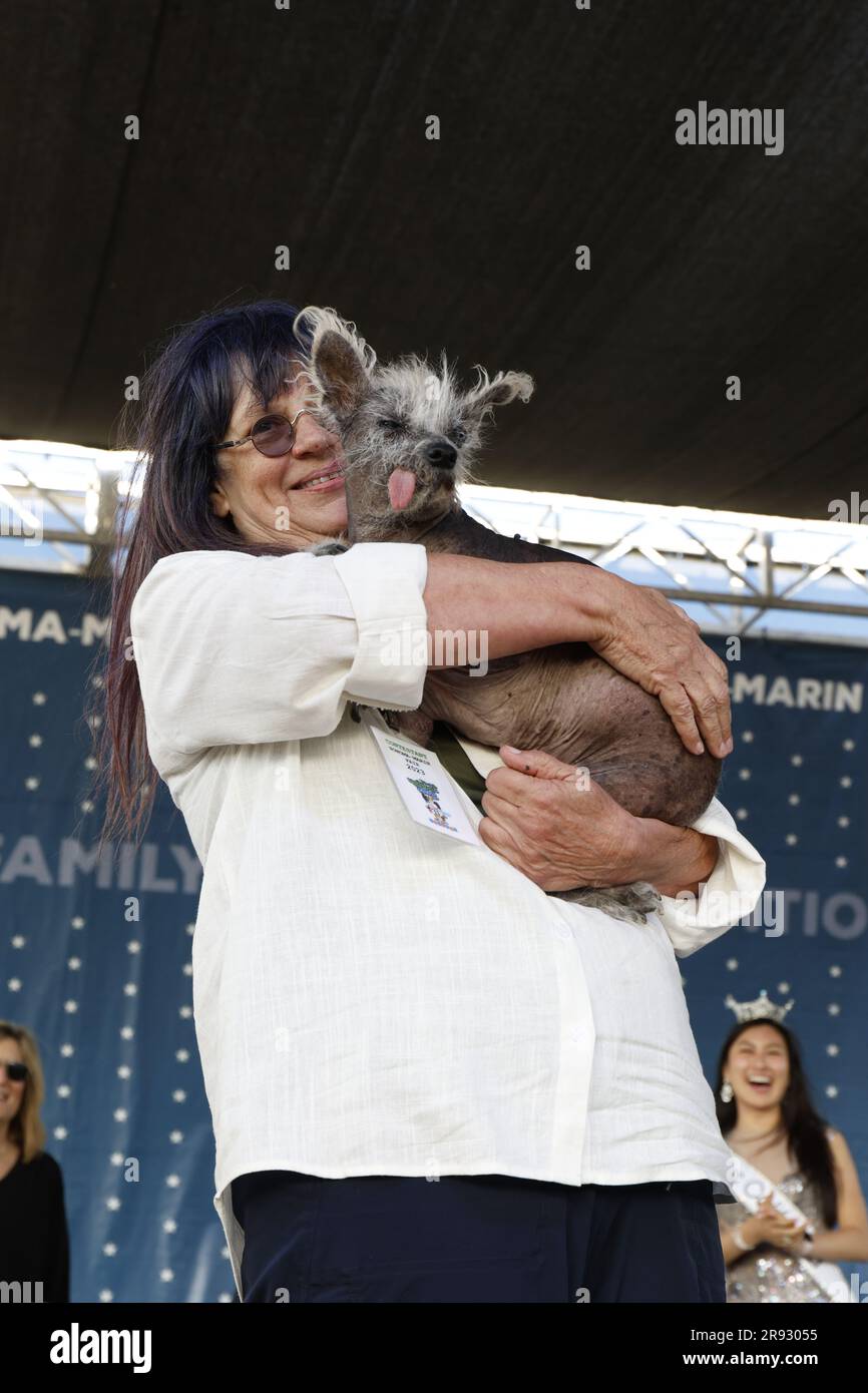 Petaluma, California, USA. 23rd June, 2023.   Scooter, a 7-year-old Chinese Crested is the winner of the 2023 World's Ugliest Dog® Contest, an annual event advocating for the benefits of adopting dogs. Many of the contestants have been rescued from shelters and puppy mills to find loving homes in the hands of those willing to adopt. Credit: Tim Fleming/Alamy Live News Stock Photo