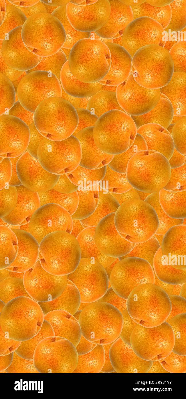 Grapefruit citrus fruit seamless pattern texture background Stock Photo ...