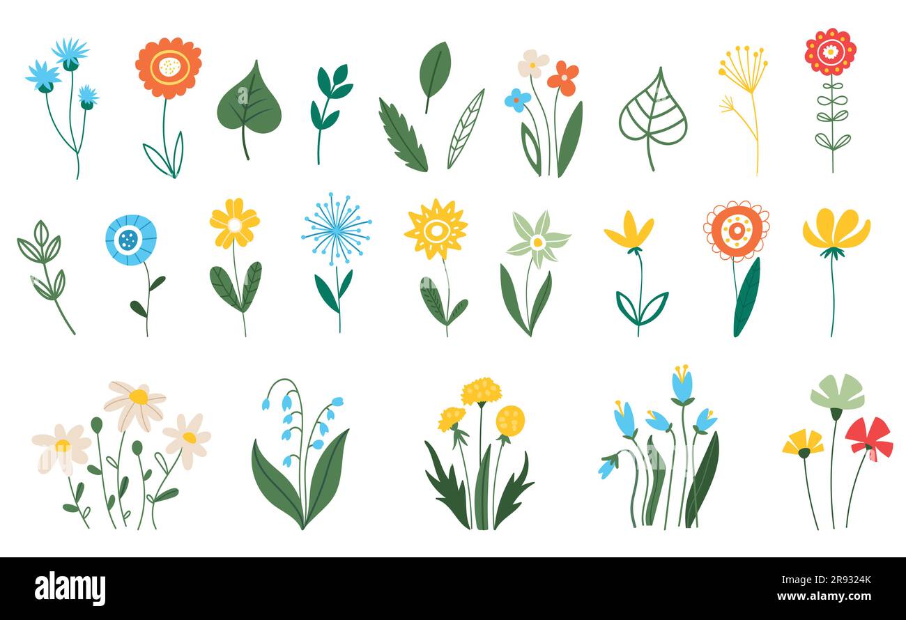 Summer flowers. Spring plants in flat style isolated on white ...