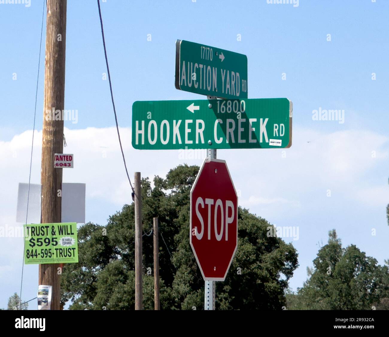 Cottonwood, CA, U.S.A. 23rd June, 2023. Auction Yard Rd and Hooker