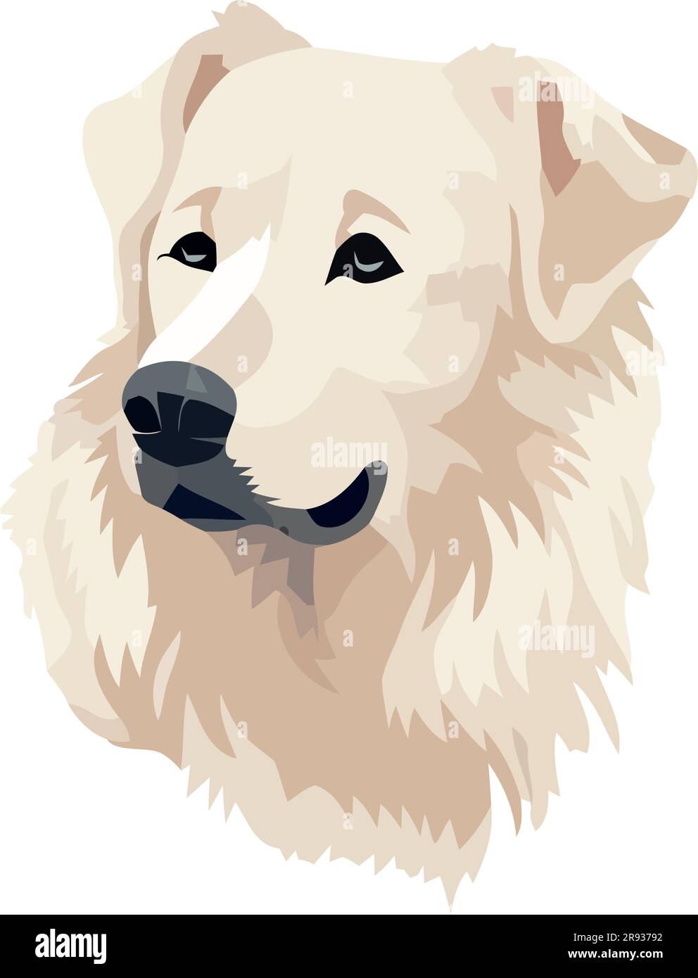 Cute purebred puppy face over white Stock Vector Image & Art - Alamy