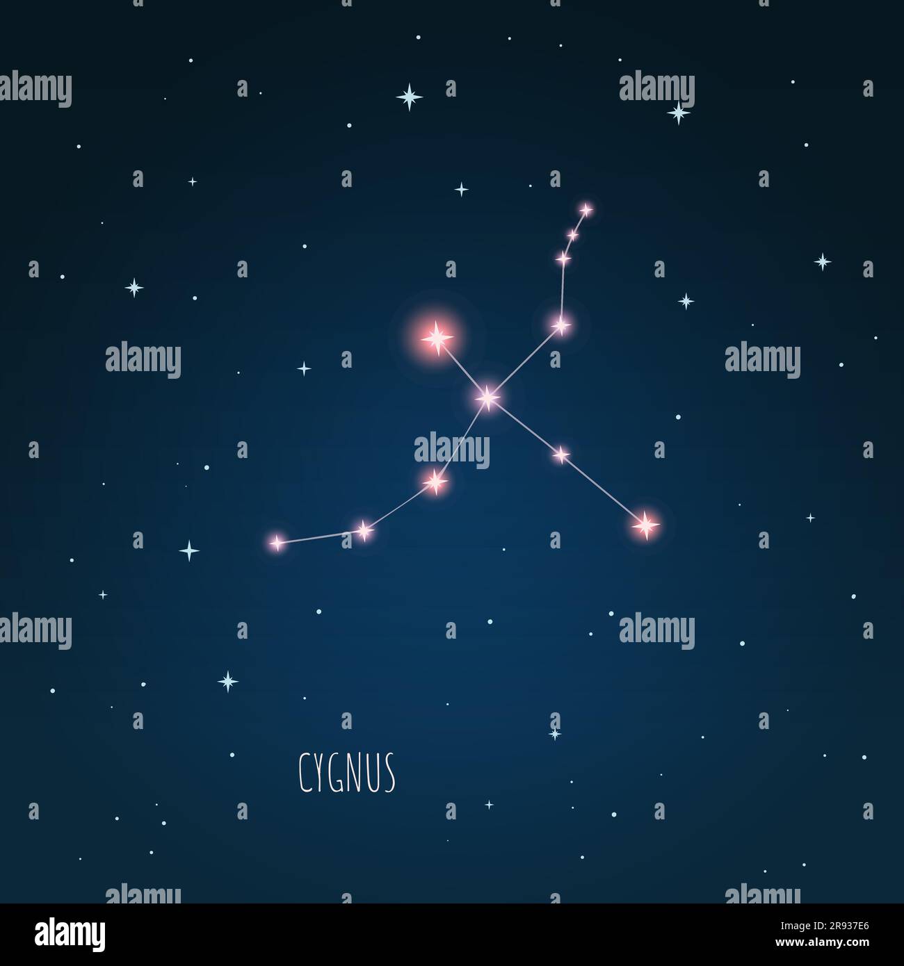 Constellation Cygnus scheme in starry sky Space Stock Vector