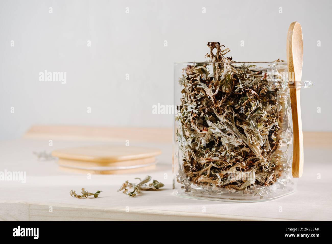 Dry icelandic moss in a glass jar. Cetraria islandica. Stock Photo