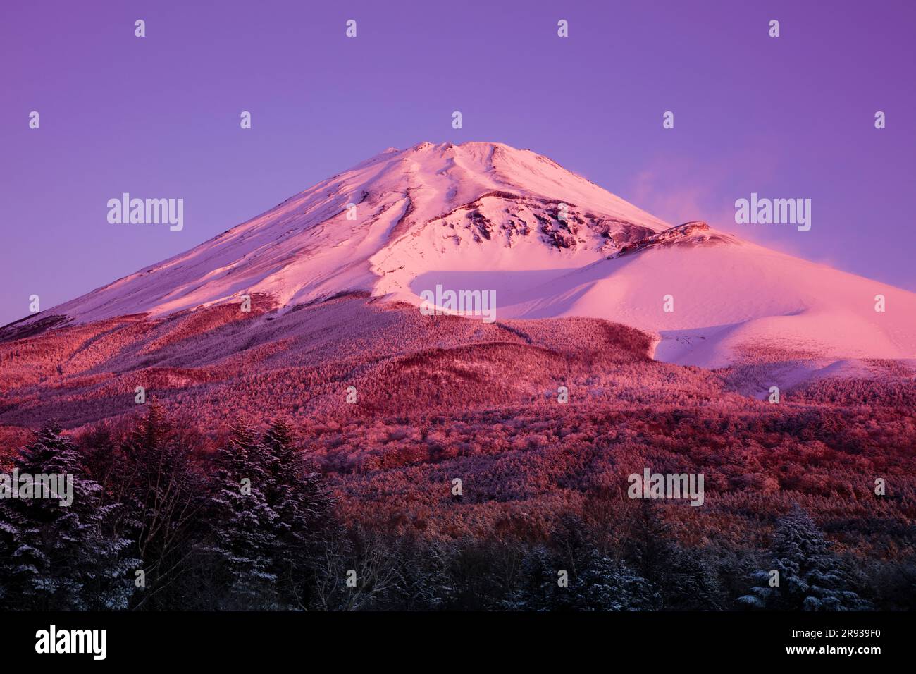 Mt Fuji Sunrise Stock Photo Alamy