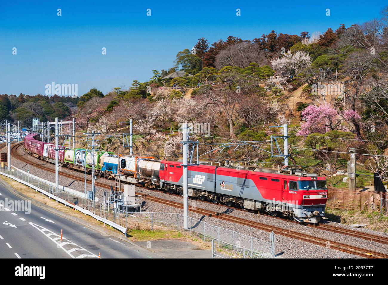 Kairakuen of the Japanese apricot and a freight train Stock Photo