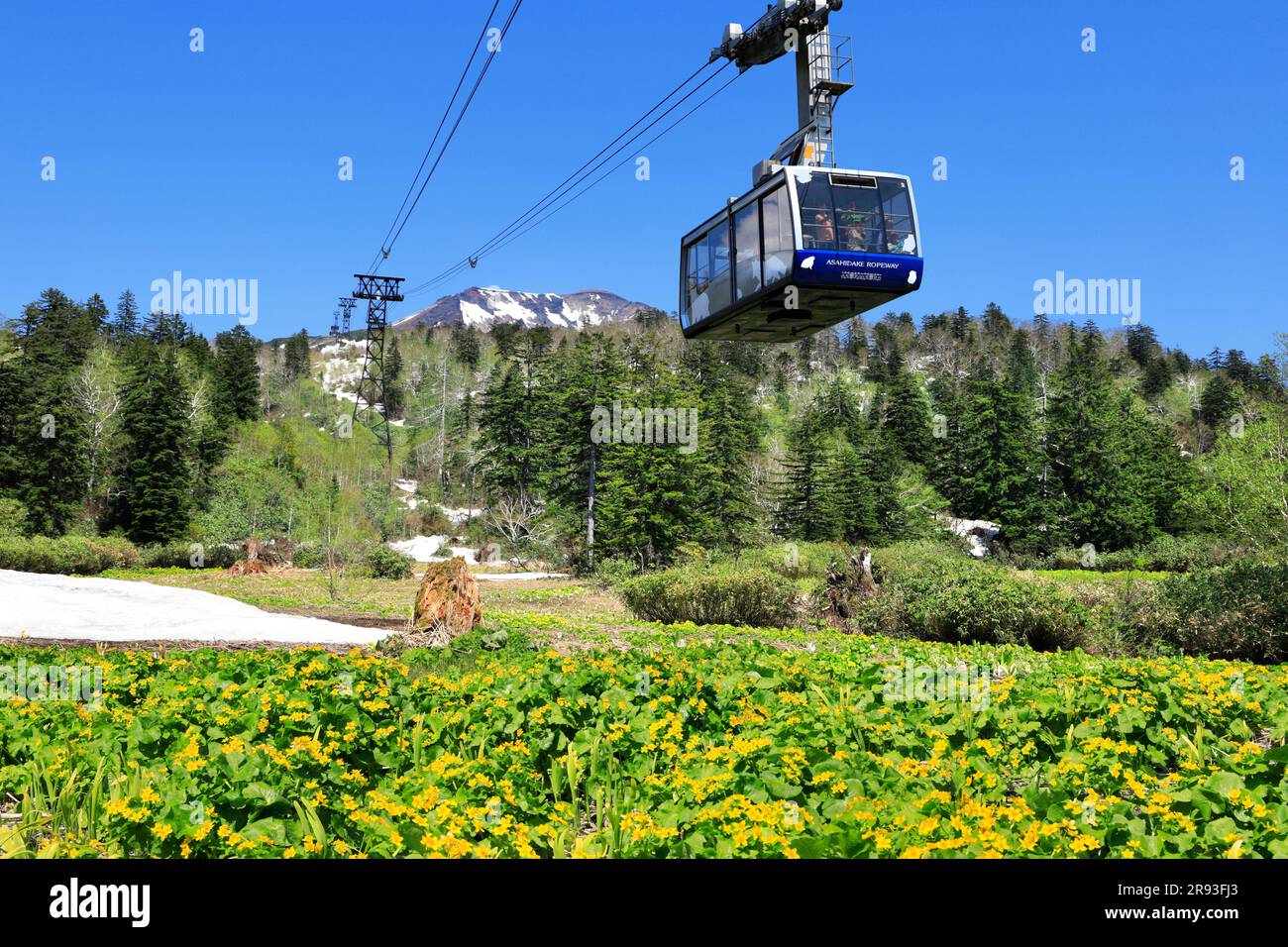 Asahi Dake ropeway Stock Photo - Alamy