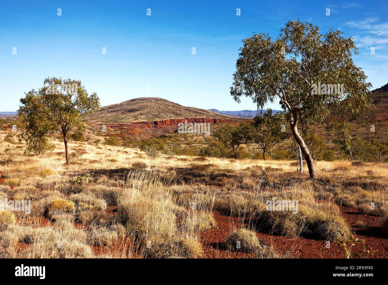 Munjina Gorge landscape, Pilbara,  Western Australia Stock Photo