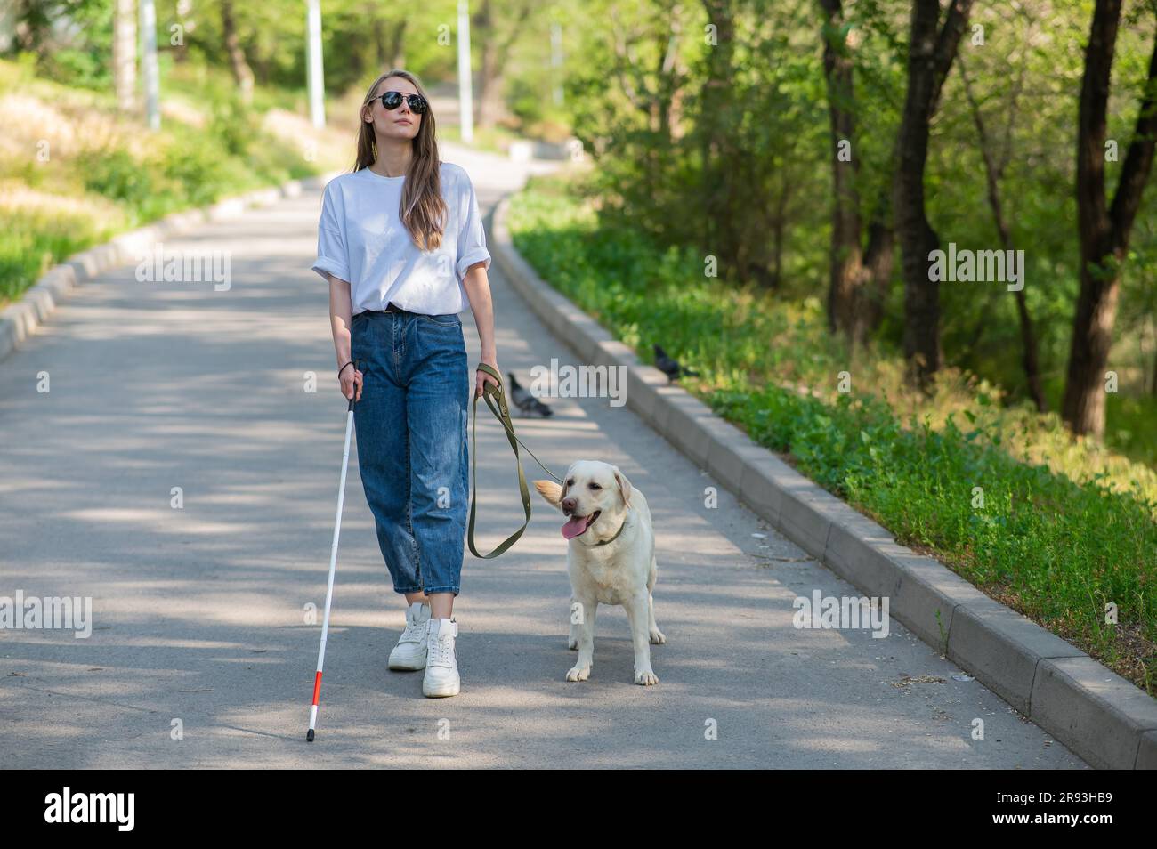 Blind woman walking with guide dog in the park Stock Photo - Alamy