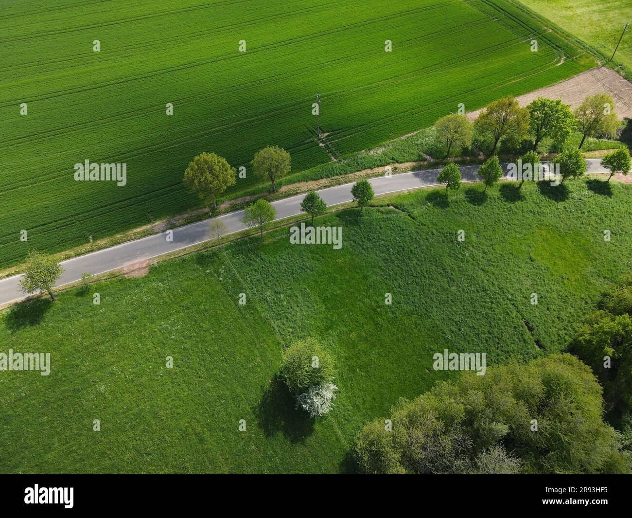 Aerial winding road among trees hi-res stock photography and images - Alamy