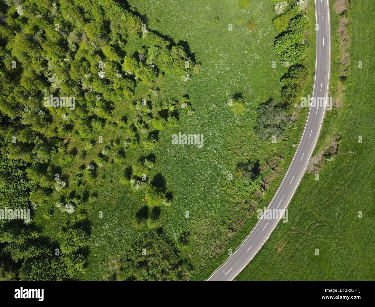 Aerial view of curved asphalt road between grass and trees in the ...