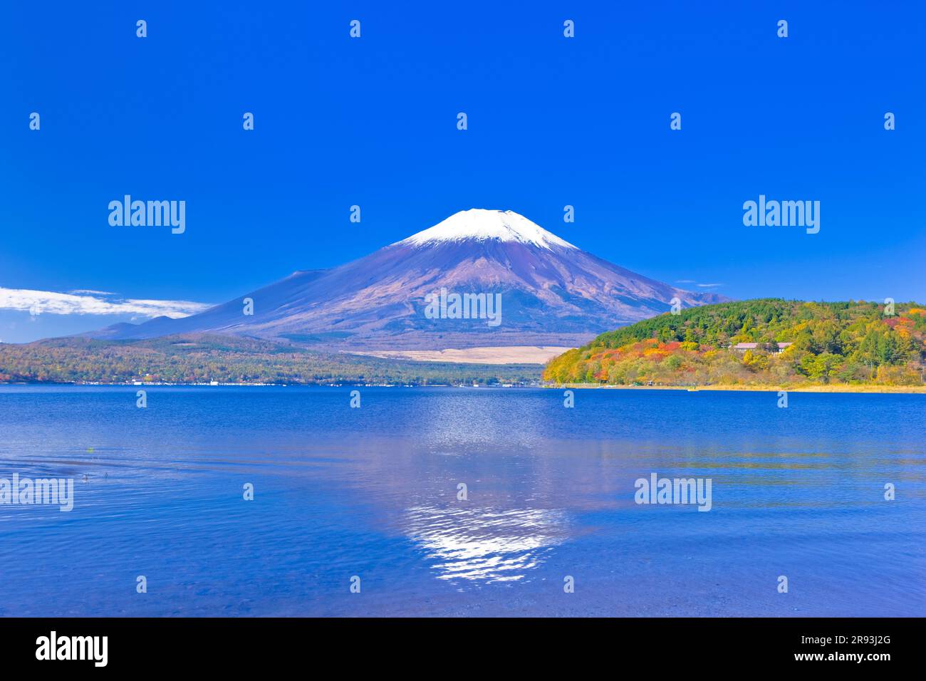 Autumn Leaves Of Mount Fuji And Lake Yamanakako Stock Photo - Alamy