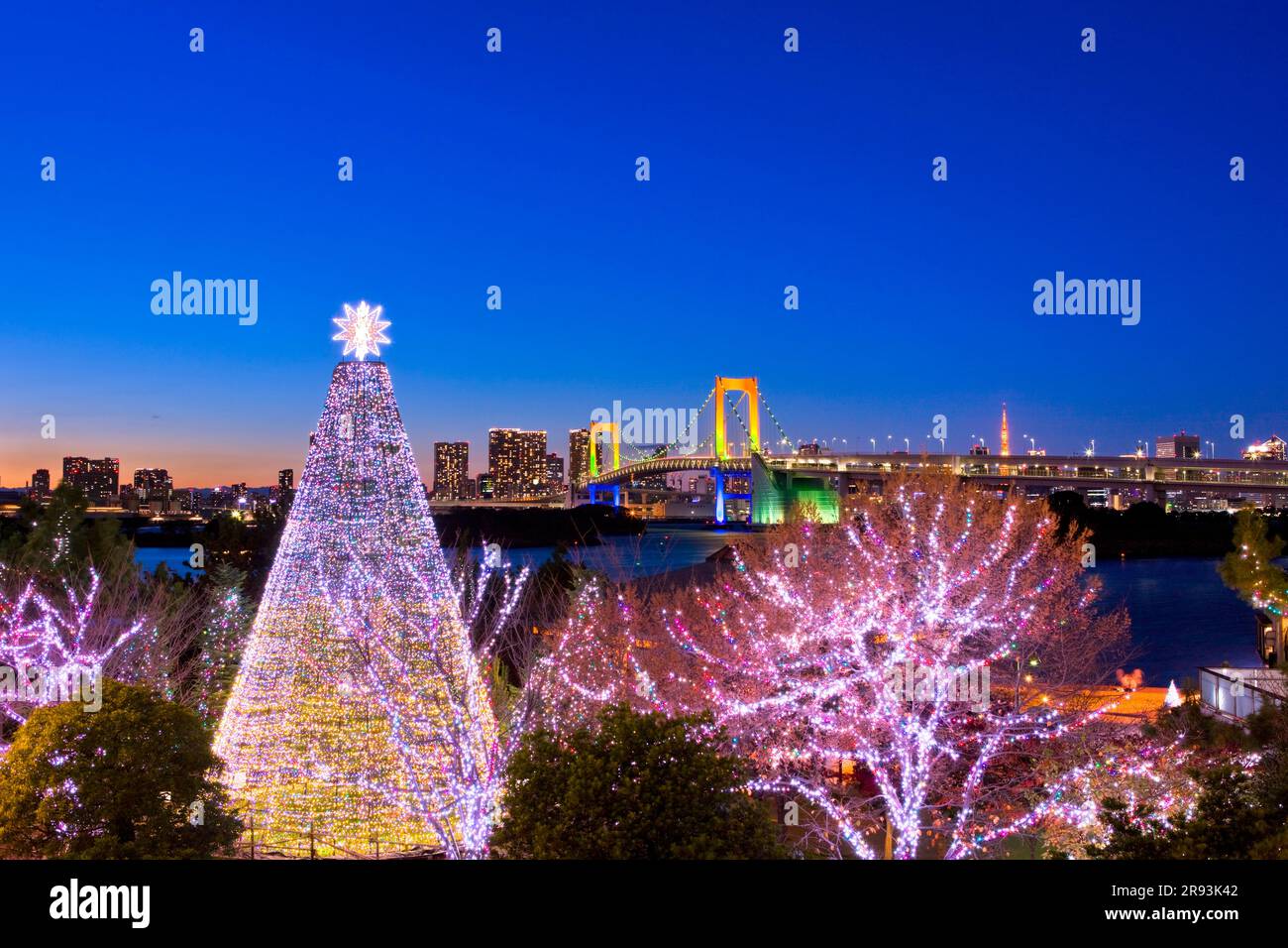 Odaiba Christmas 2024 Lacee