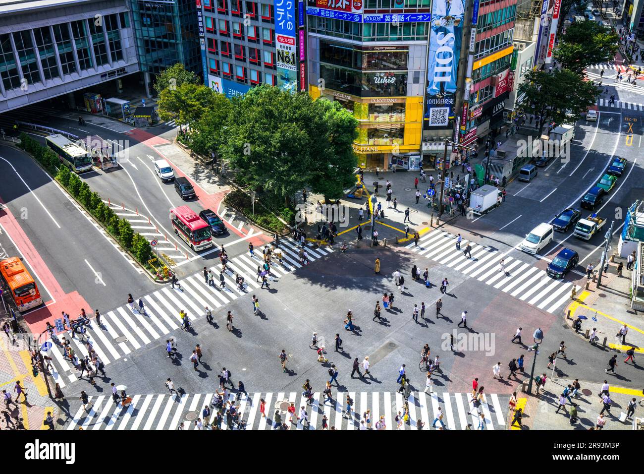 Shibuya Scramble Crossing Stock Photo