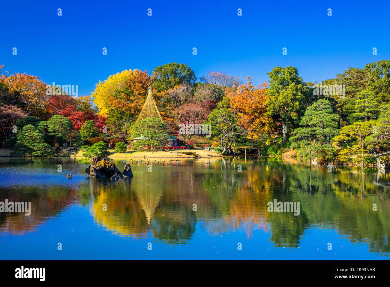 Autumn colors in Rikugien Stock Photo Alamy