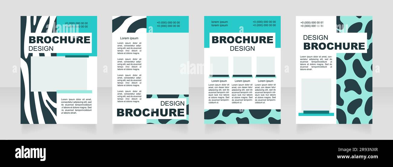 Safari blank brochure blue and white layout design Stock Vector Image