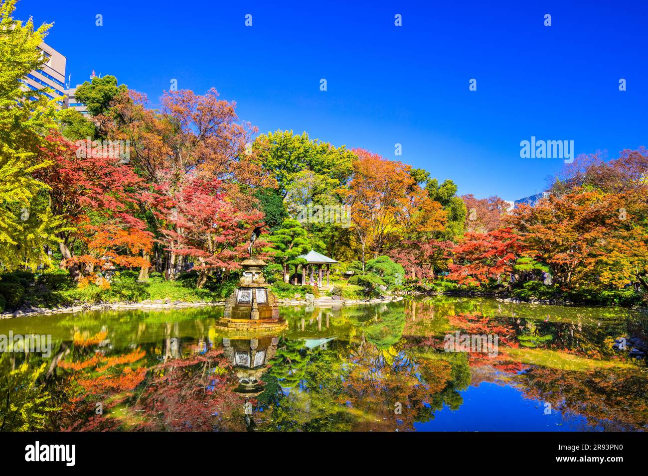 Autumn leaves in Hibiya Park Stock Photo Alamy
