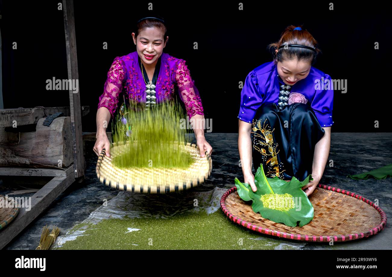 Ethnic minority women are making green rice flakes after harvesting ...