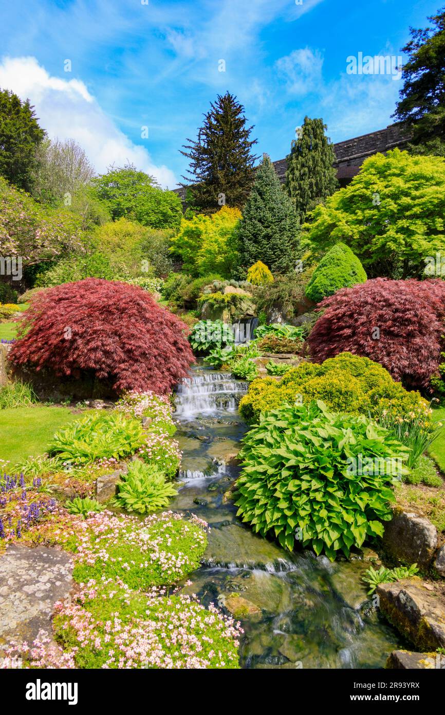 A colourful display of spring flowers and leaves in the Kilver Court ...