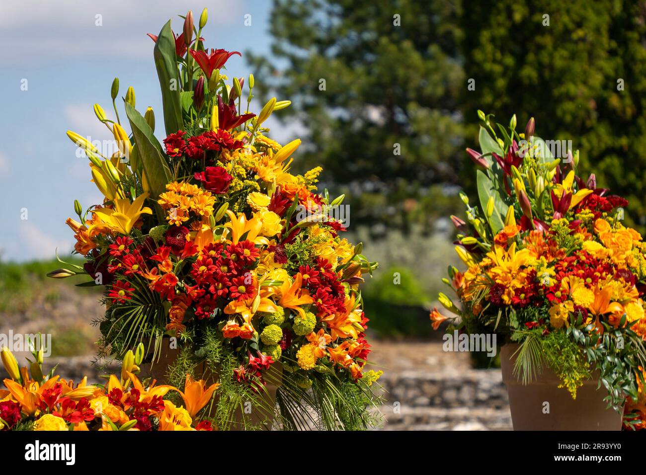 Large colorful outdoor bouquet of several different beautiful flowers Stock Photo