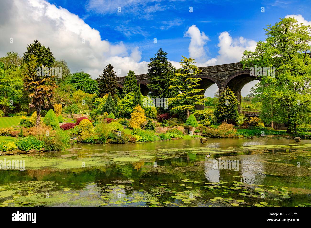 A colourful display of spring flowers and leaves in the Kilver Court
