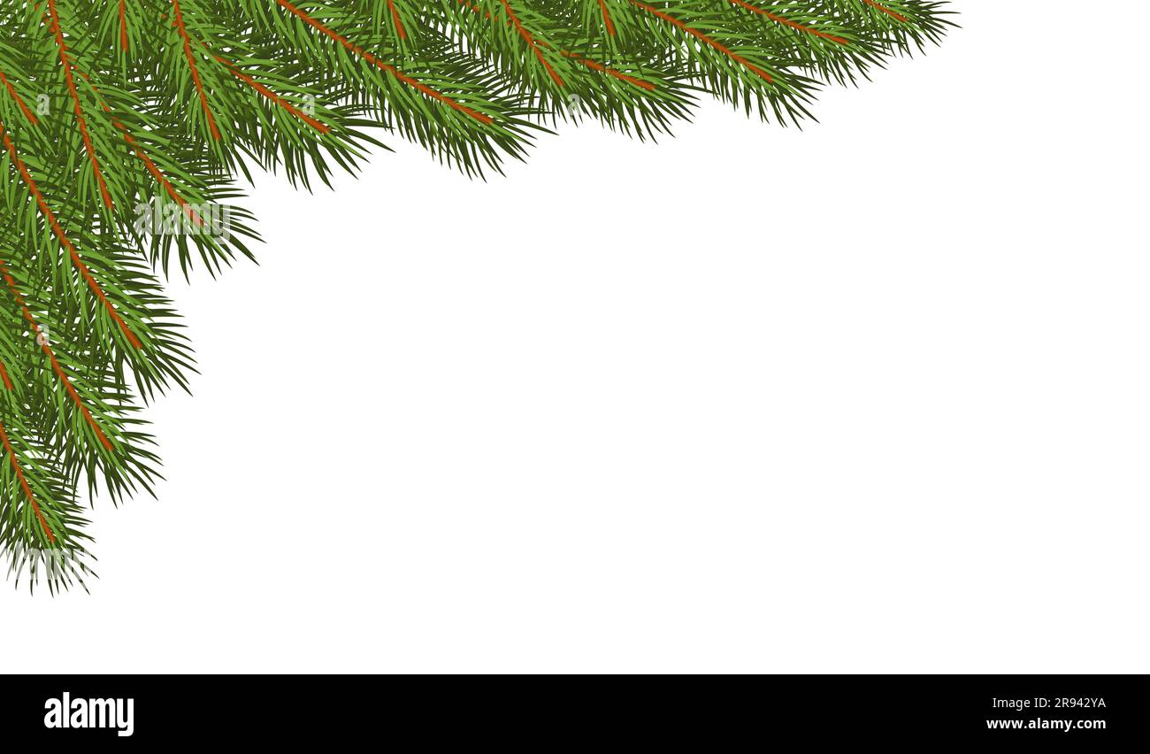 Frame of green fir branches on a white background with copy space. Flat ...