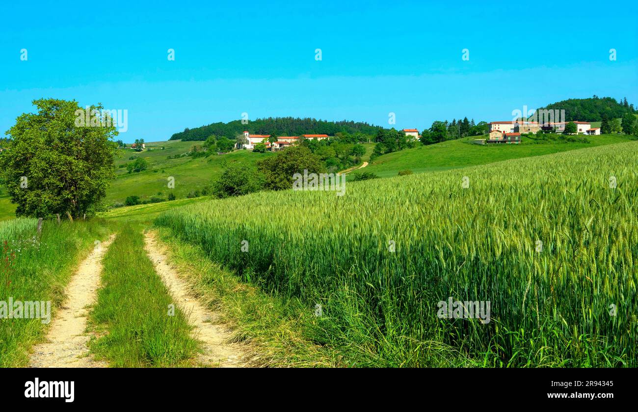 La Chapelle sur Usson village, Livradois-Forez regional natural park, Puy de Dome department, Auvergne Rhone Alpes, France Stock Photo