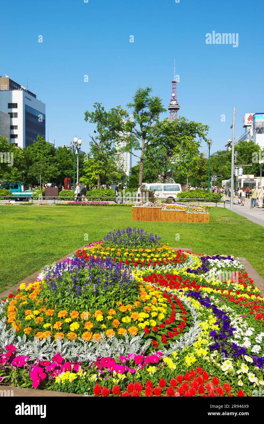 Odori Park Flower Festival and a television tower Stock Photo