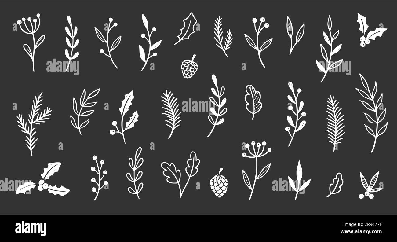 Christmas plant leaf, flower set. Hand drawn doodle sketch holly floral