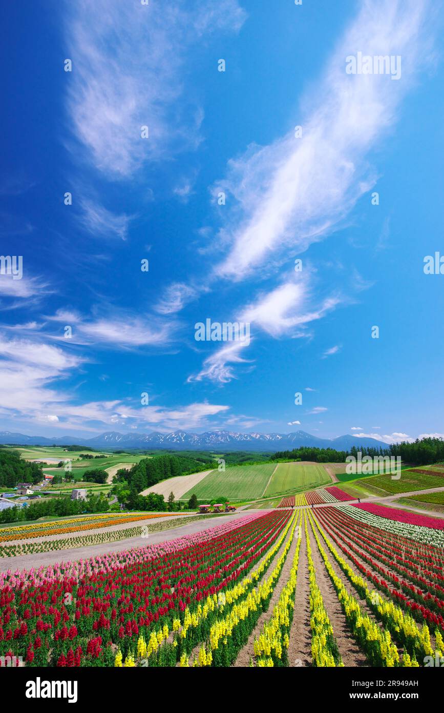 Shikisainooka hill and Tokachidakerenpo mountain range Stock Photo