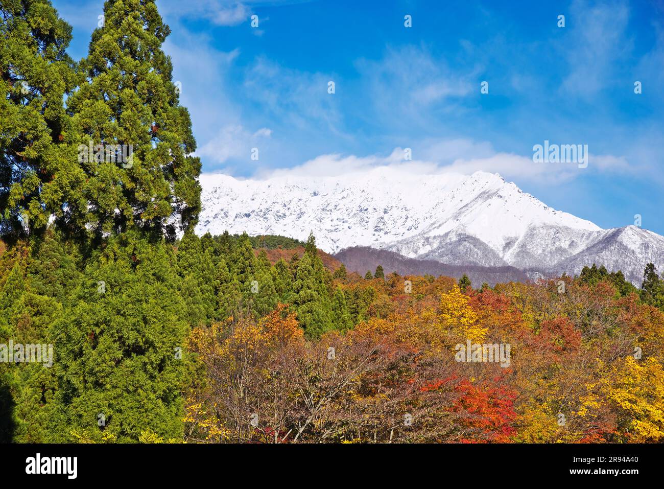 Snowy Oyama Stock Photo