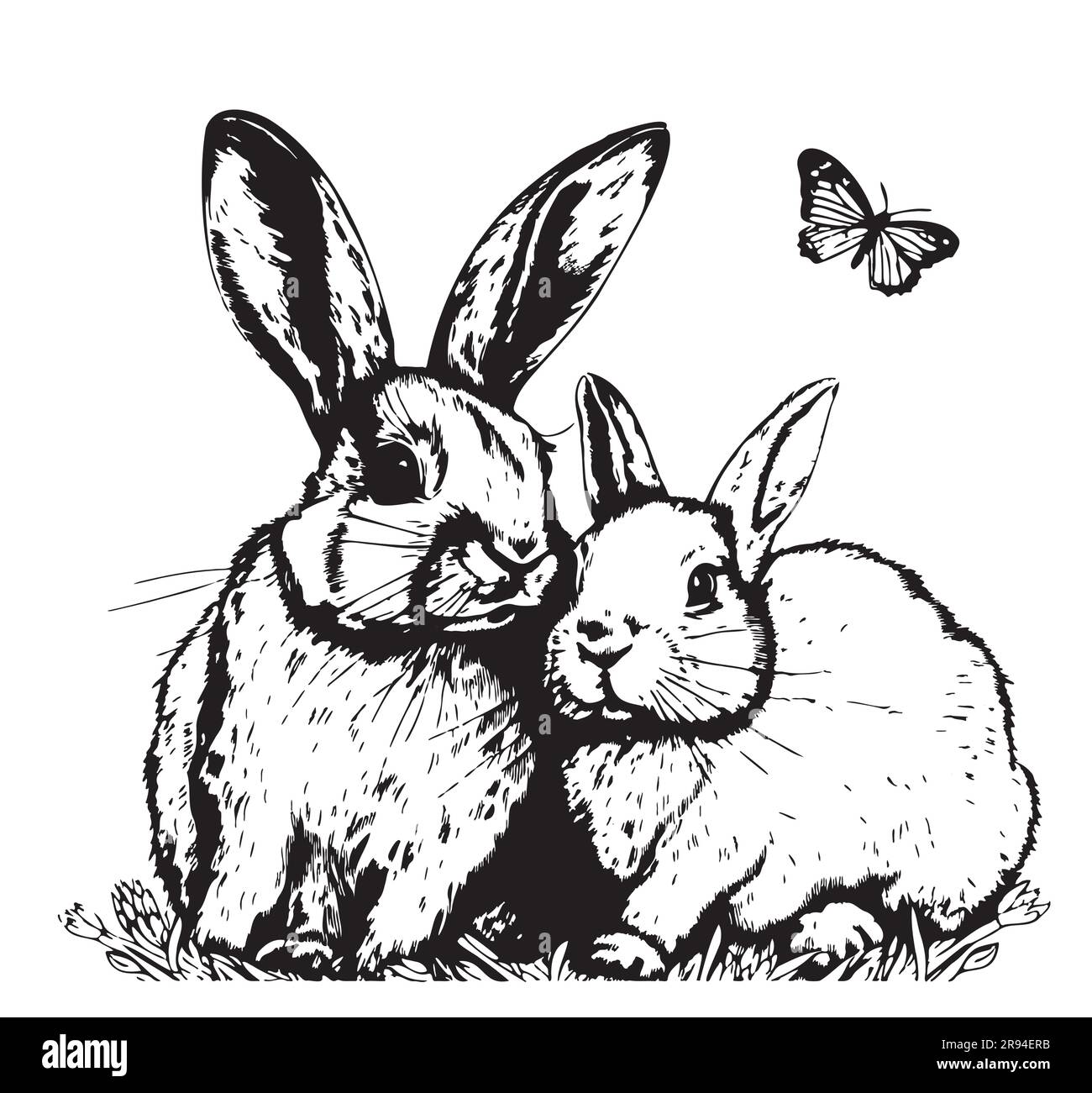 Hare sitting Black and White Stock Photos & Images - Alamy