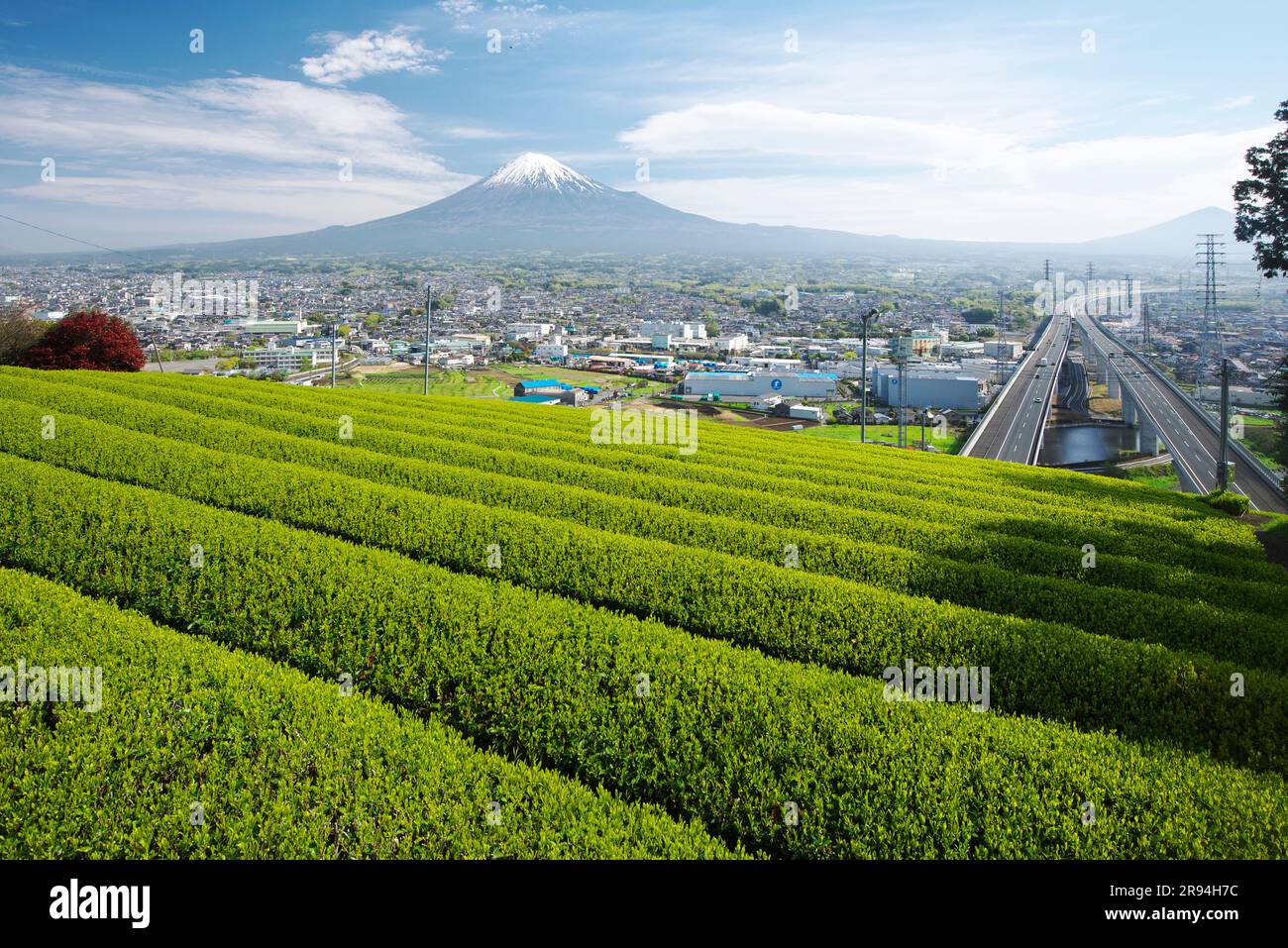 Fuji and Tea Field and New Tomei Expressway Stock Photo
