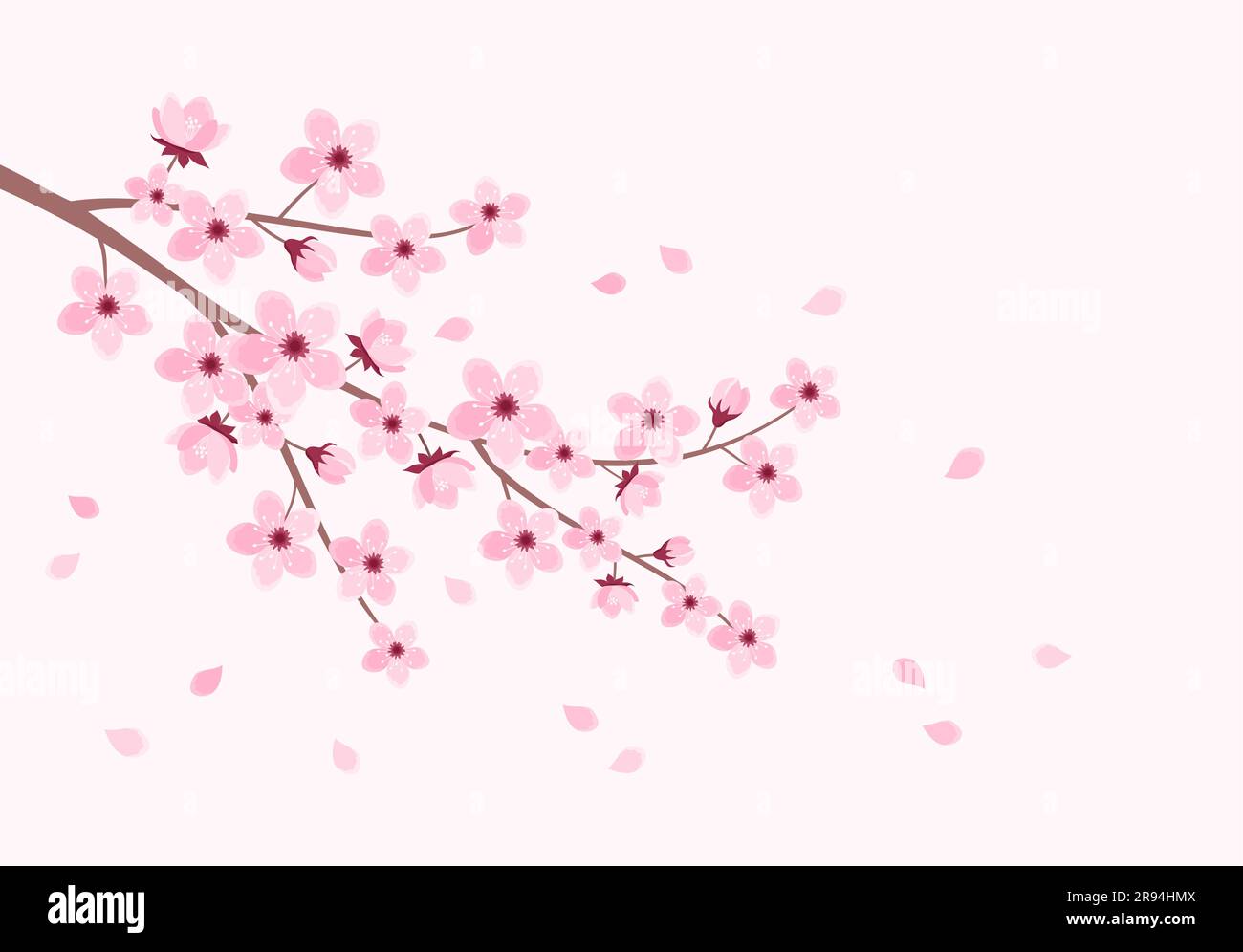 Pink cherry blossom branch with falling petals on a soft pink ...