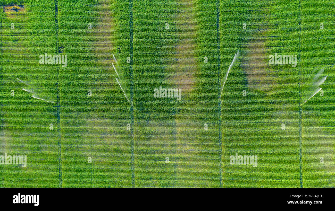 Above top view of irrigation system, water jet rain guns sprinklers, on