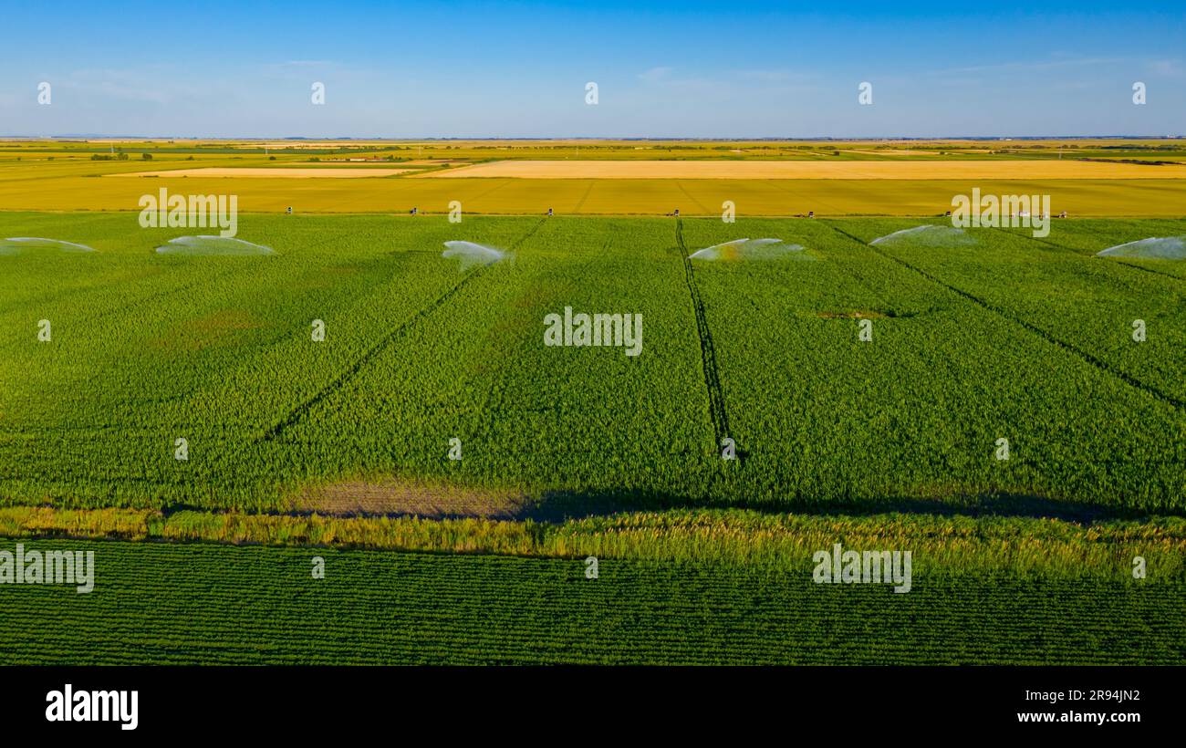 Above view of irrigation system, water jet rain guns sprinklers, on
