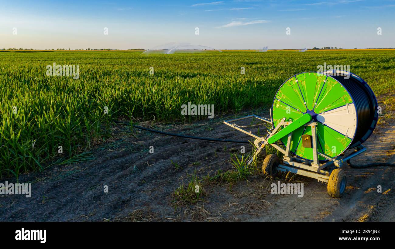 Hose spool hi-res stock photography and images - Page 2 - Alamy